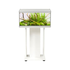 Aquariums 