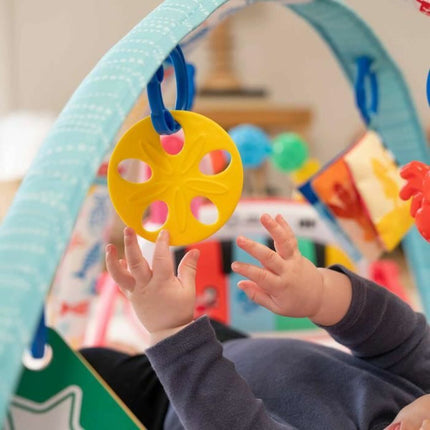 V5H3173B17A21A8543A45BFAF538190ABB8R6738442P3