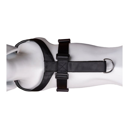 V10HC8AC0DC884B6411CDCAC2AB7BD5F8678R2354174P7