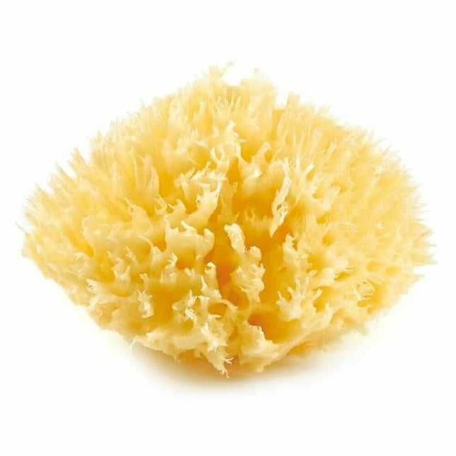 V4HE138F2E74189E54B484F75859B1FAEC6R7120747P1