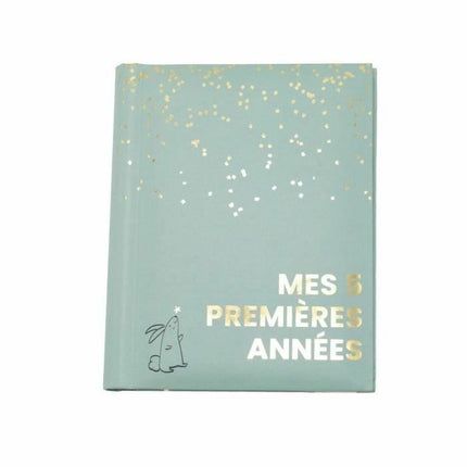 V3H5C21F1377B123A717F5BE8B54982D96CR7254336P1