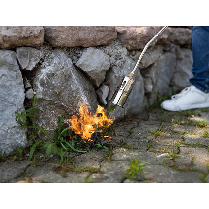 V2H549509C7166194124840EBFE60968663R7549655P8