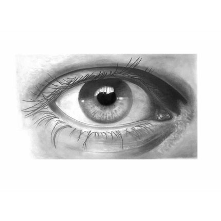 V4H6DCC4EB9814B8E2857D5F5D1049F4916R4970913P5