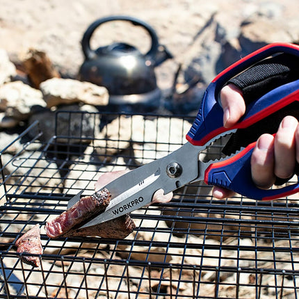 V5HCF0E768C0BC27D7FA5450A9B483E9511R5479321P6