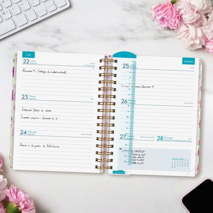 V6H5BDE21F8806B1D7EAC54134C12B3FA76R7229623P3