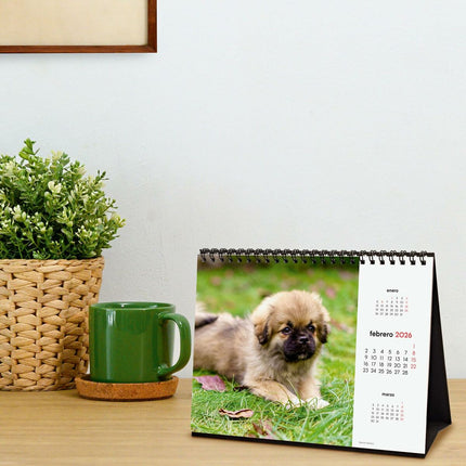 V3HCF80F7EEA43239657D4C71AF4C990454R7229889P3