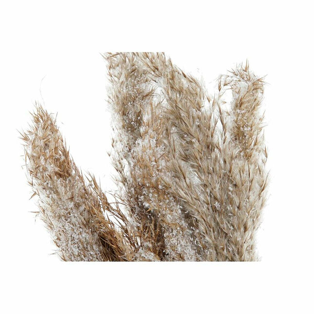 V11H01B49AE53E3AF97F283317C515B0B97AR6377100P2