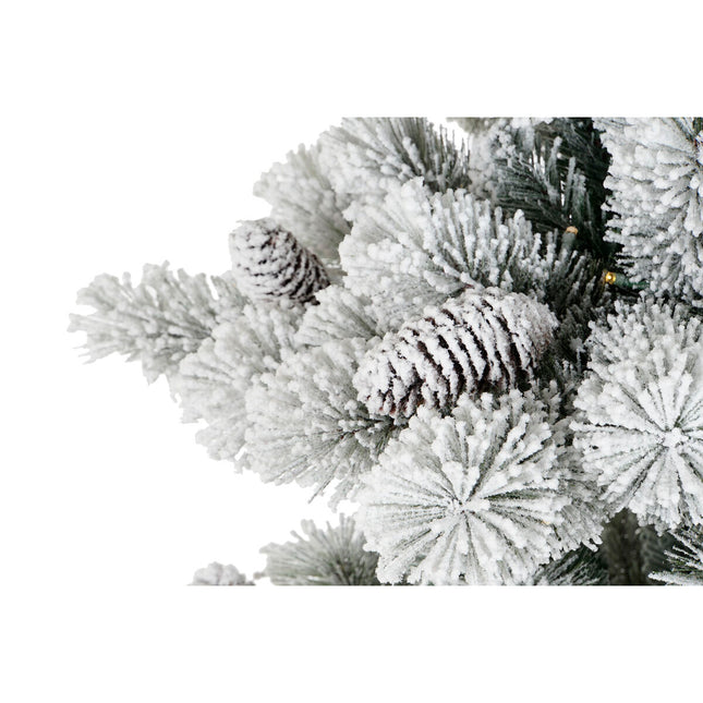 V7HB369897538A34EA7EB2A0E97E6B5BA67R7364715P2