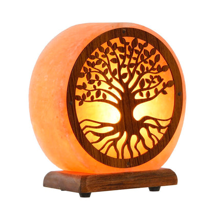 V6HB9DCA891F1EBD7FDF5B3CADE2EA108F2R6669062P6