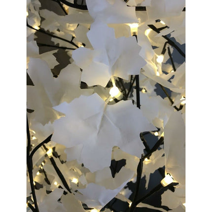 V6H1B73DFD5635875A030E709B04B7B8EA6R7104768P3