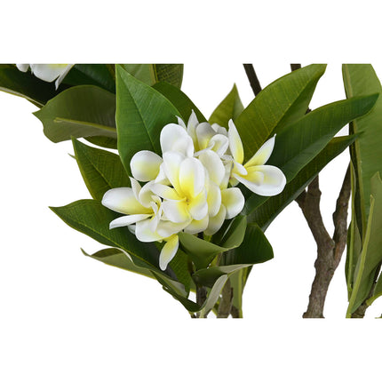 V4H0799B77D896F50EFE941F293E8B1B4EAR5676124P2