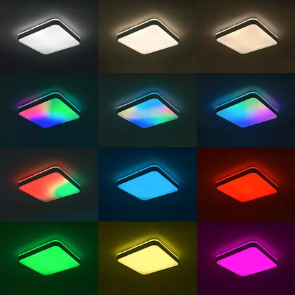 V3H2227F76554F5D368A10AA255911F6F7FR5602101P7