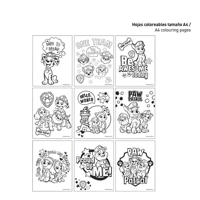 V3H033F873D43A2034D2CC1557AAAB7A328R4703371P1