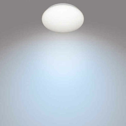 V8H061C7EF43879419232C0E501E088F865R4996445P2