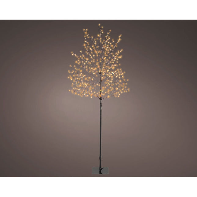 V2HA7A7B995A5D5A16DE05E5EAD7D87578FR7465787P2