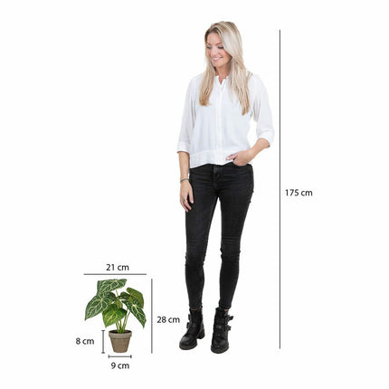 V5H62FC52F75CF40AF8DE3C07FCDA7D9780R4263157P5