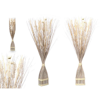 V9H626F12786D9990276FF0008756CA8C88R7269154P2